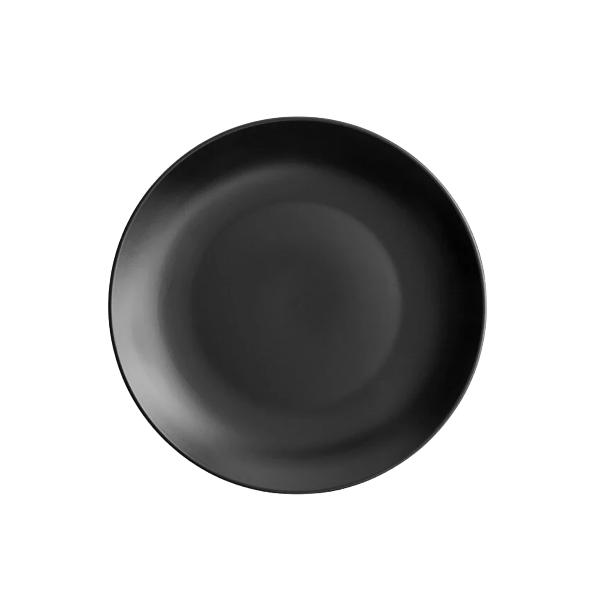 Matte Black Stoneware Dinner Plate 12 1/4"