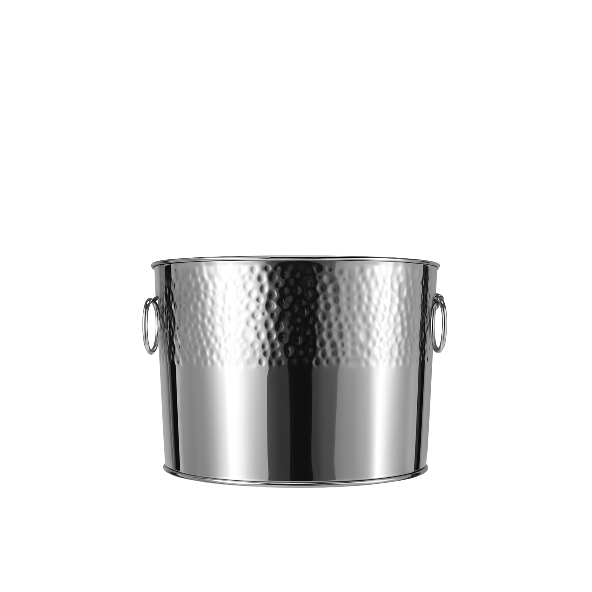 Oval Stainless Beverage Bucket