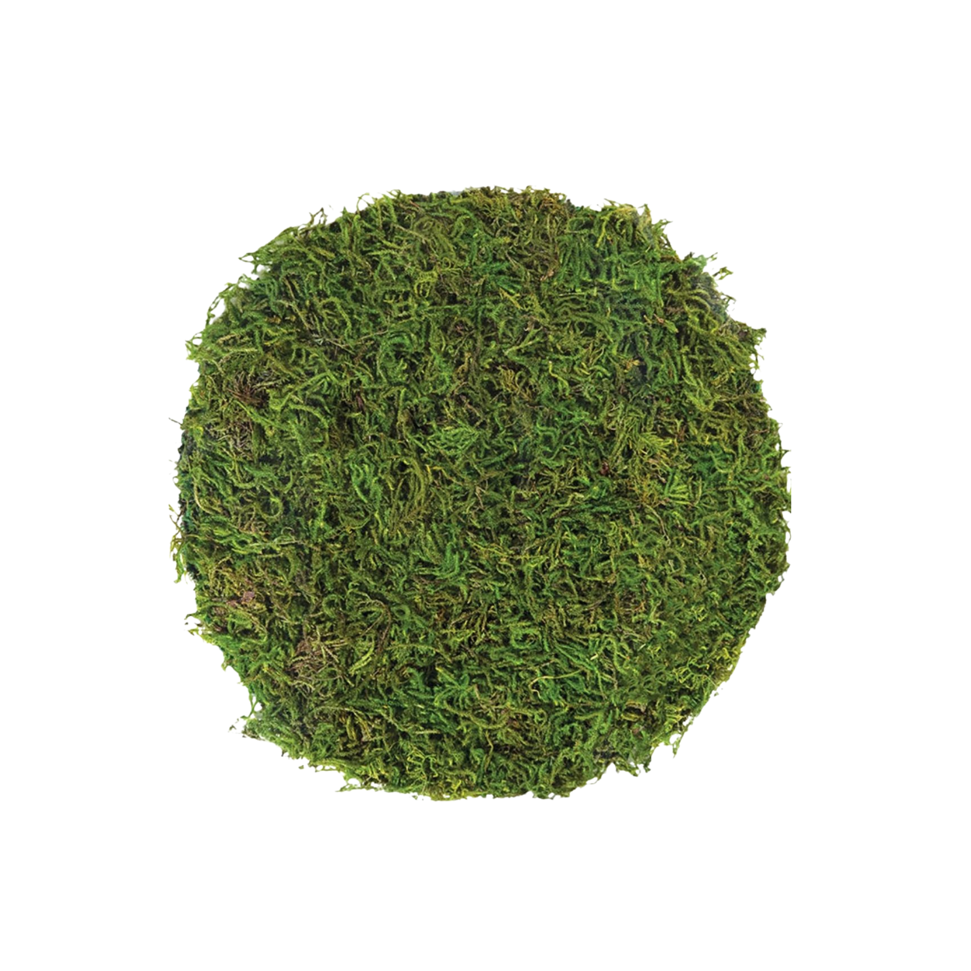 Real Forest Moss Charger Placemat 12"