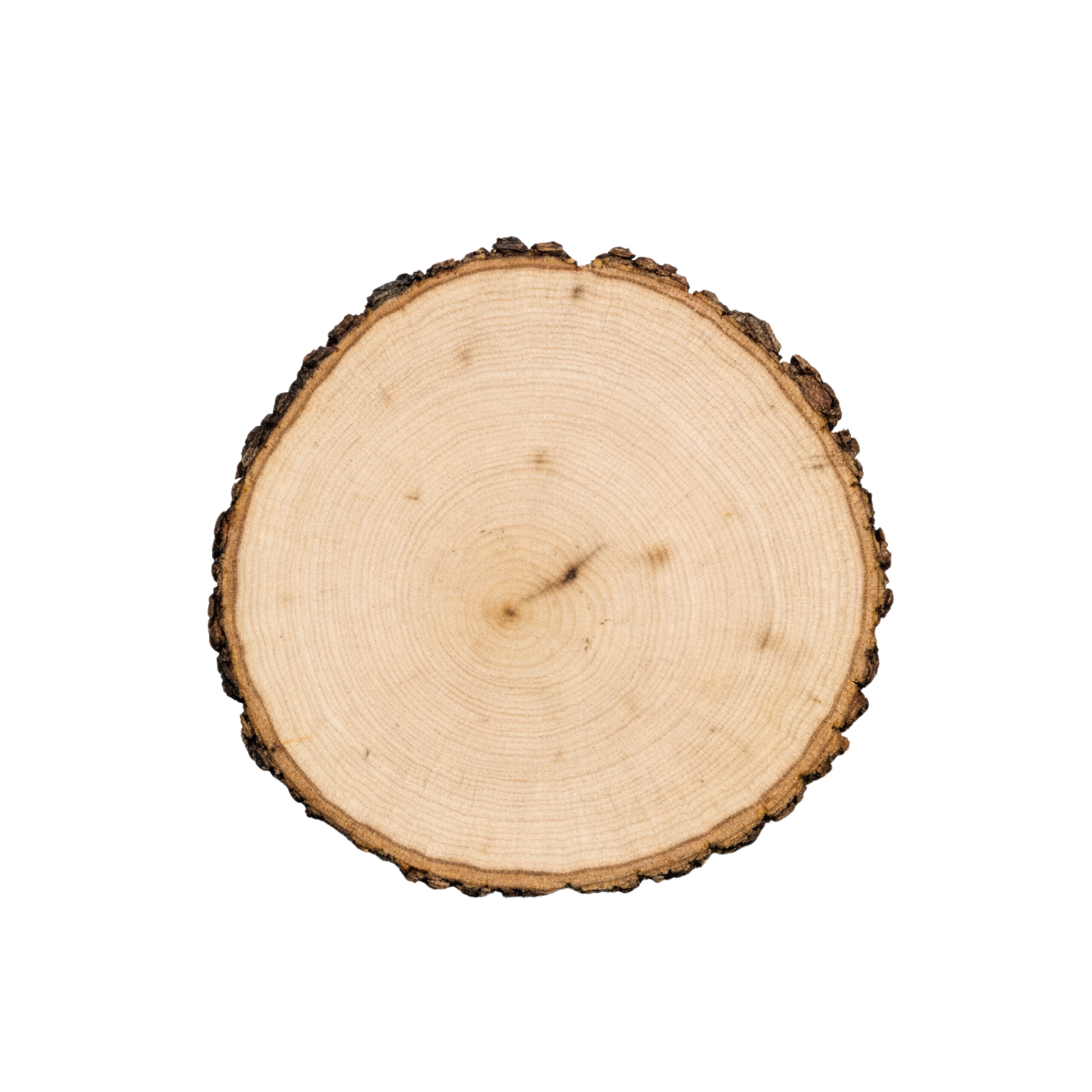 Rustic Wood Centerpiece