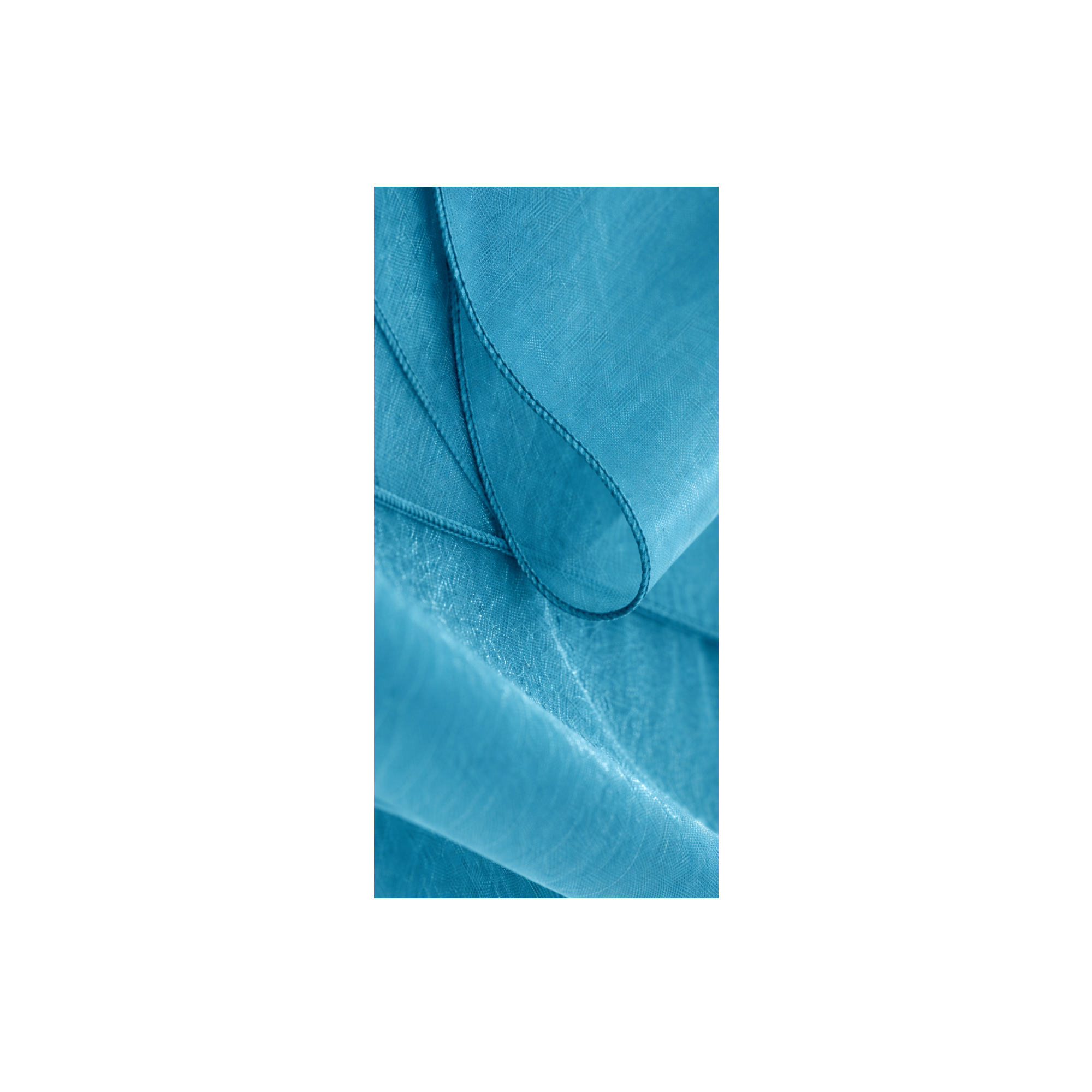 Peacock Bleu Organza