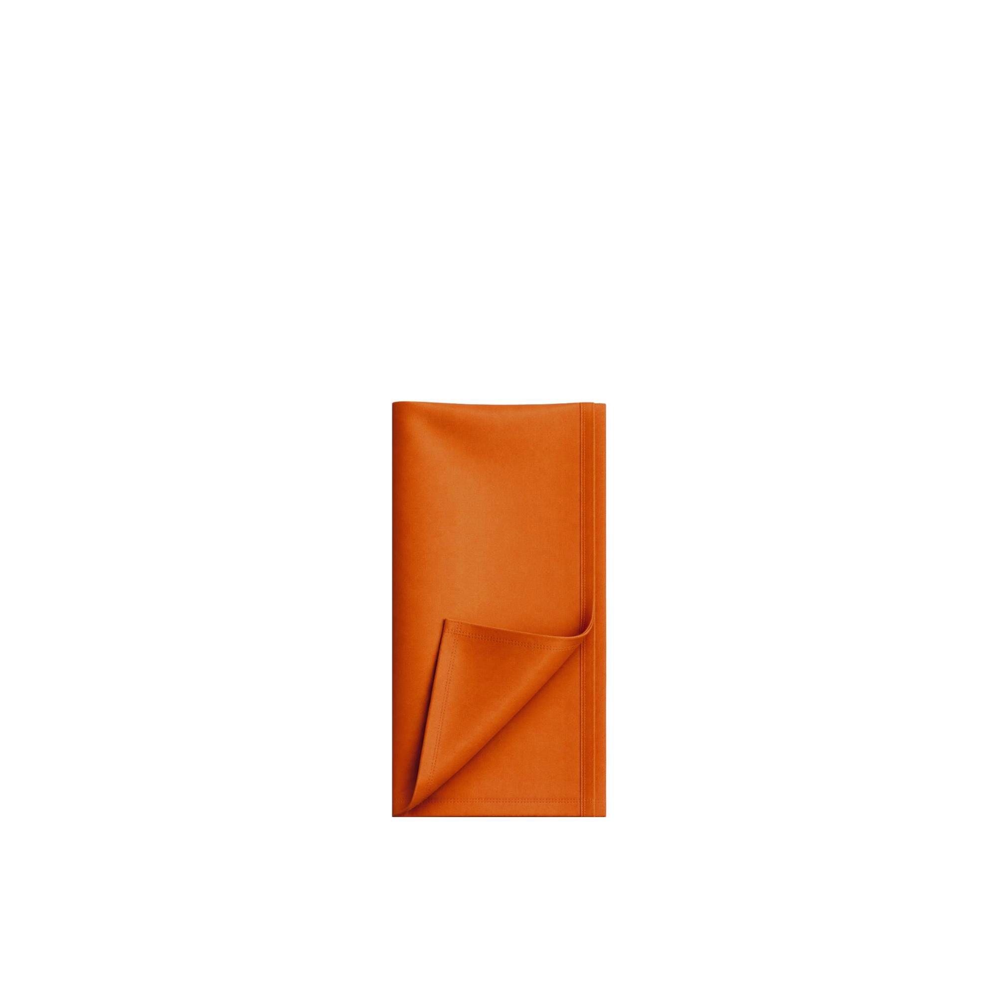 Napkin1