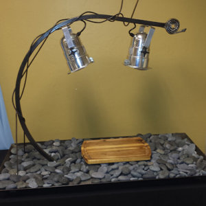 rental double heat lamp
